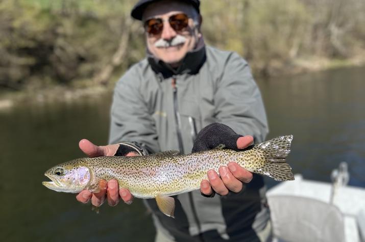 west branch delaware river fly fishing