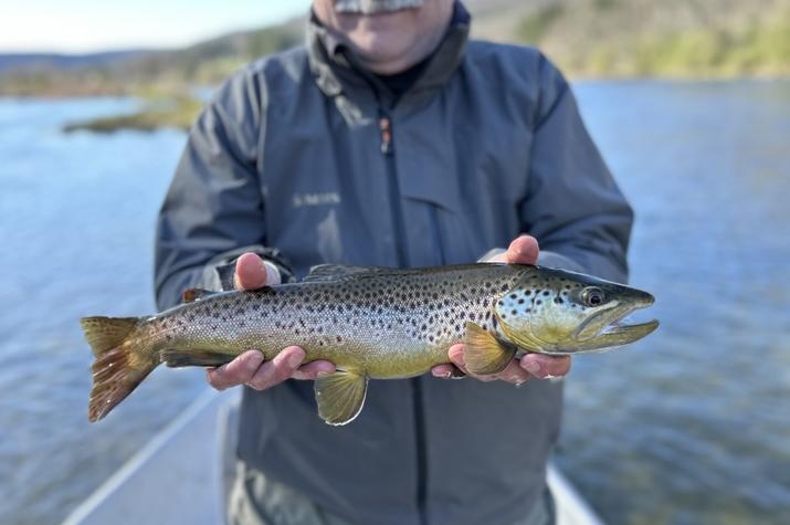 west branch delaware river trout guide jesse filingo