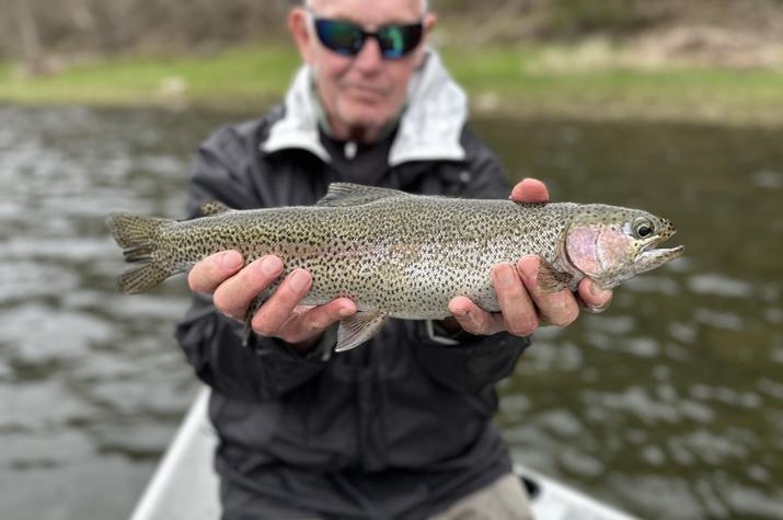 upper delaware river fly fishing trout fishing
