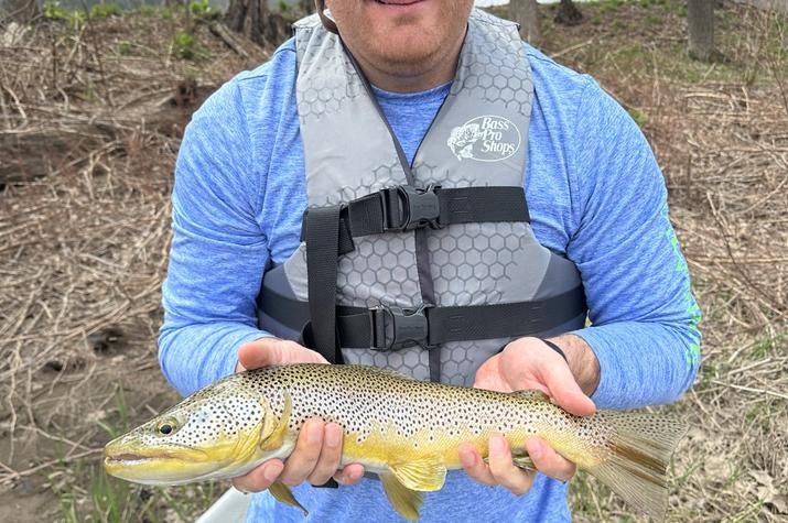 upper delaware river trout