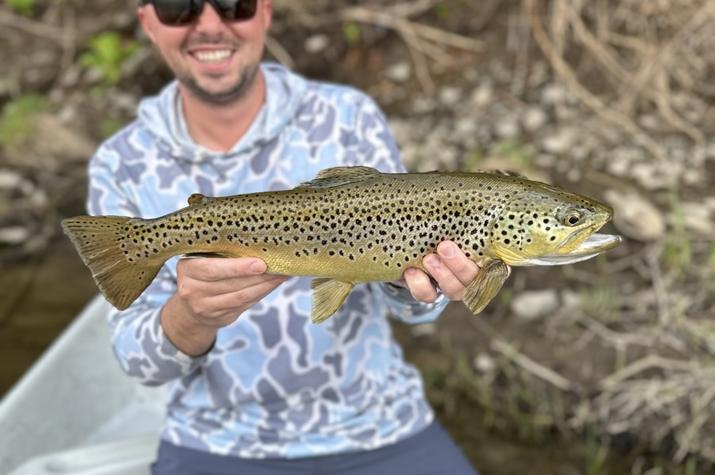 west branch delaware river trout guide