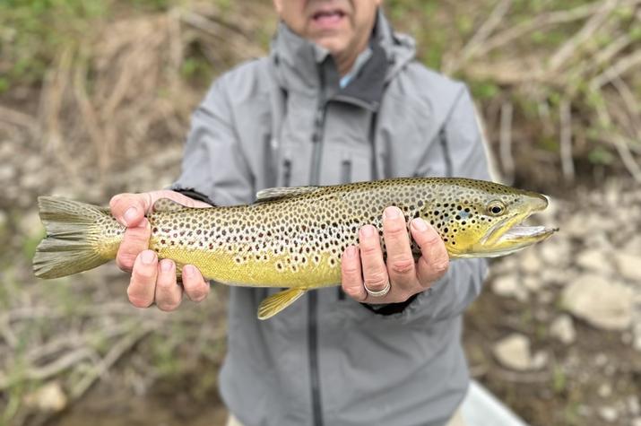 upper delaware river trout fly fishing guide