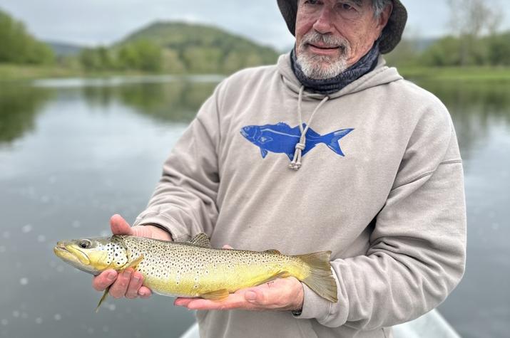 upper delaware river fly fishing trout guide