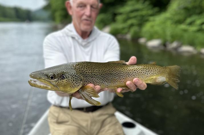 guided fly fishing upper delaware river trout fishing