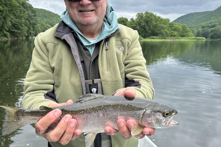 upper delaware river trout fishing