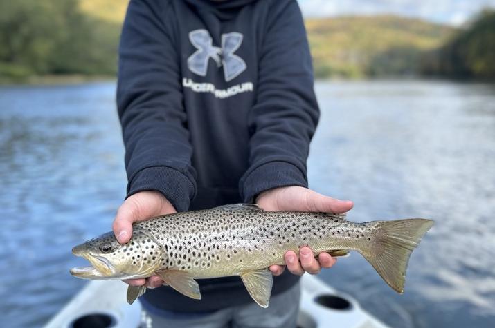 upper delaware river trout fishing