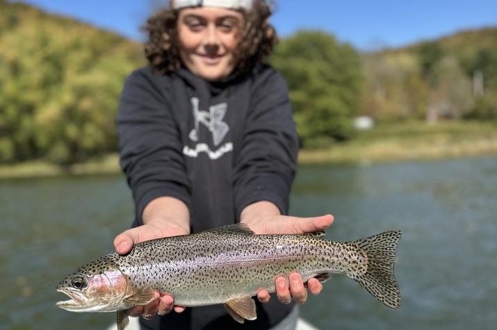 upper delaware river trout fishing