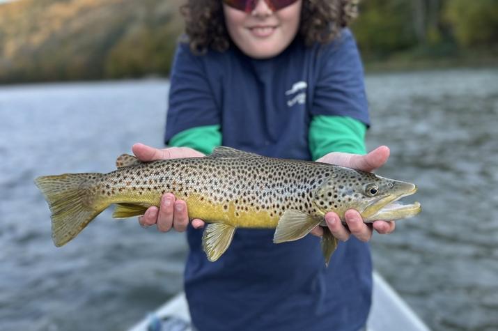 fly fishing upper delaware river