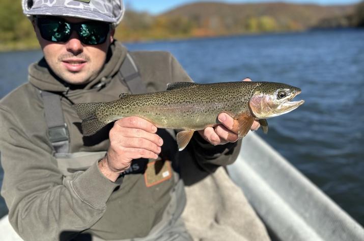 upper delaware river fly fishing