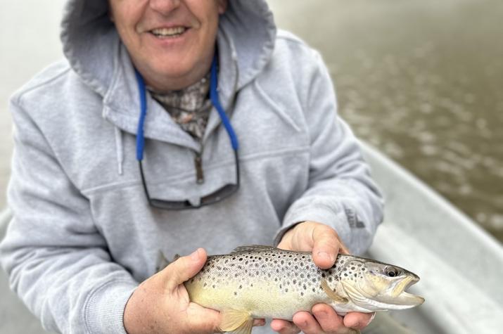 west branch delaware river trout