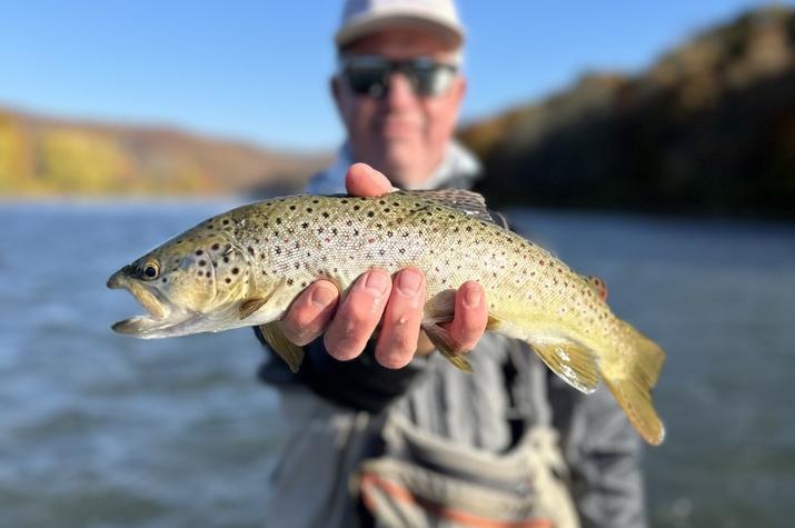 fly fishing west branch delaware river