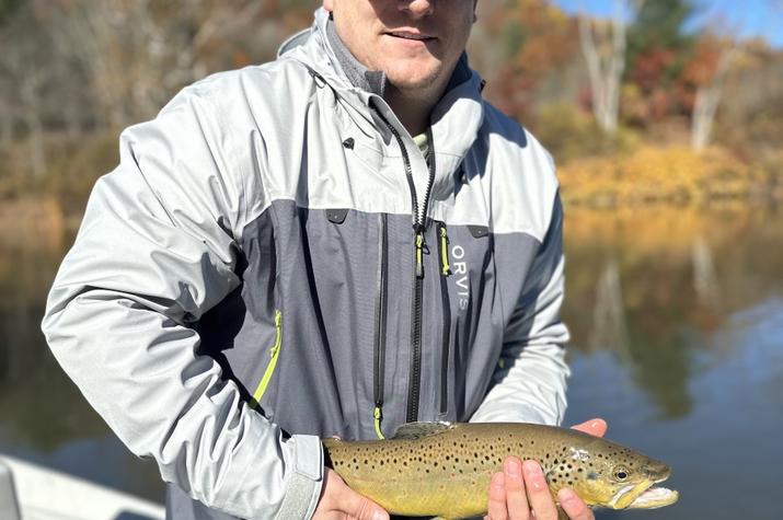 west branch delaware river trout