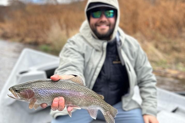 west branch delaware river trout fishing guide