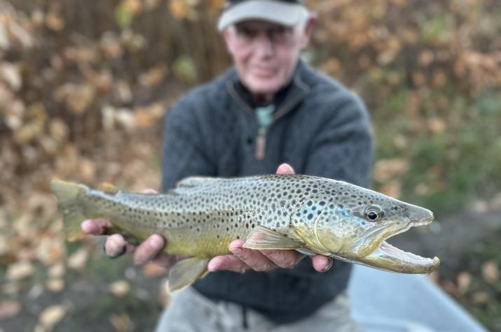 fly fishing west branch delaware river trout