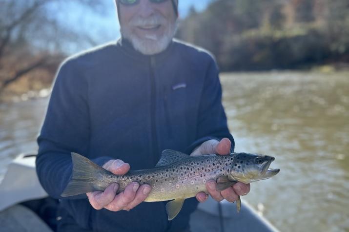 west branch delaware river trout