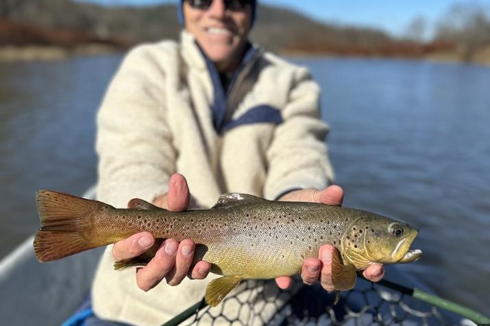 west branch delaware river fly fishing