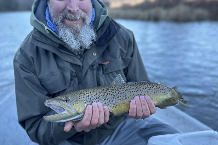 west branch delaware river trout