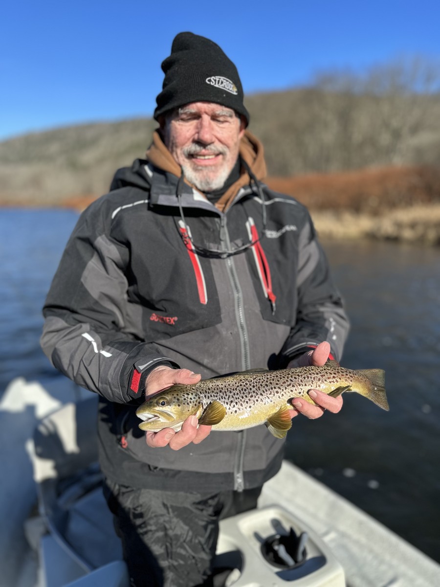 west branch delaware river wild trout