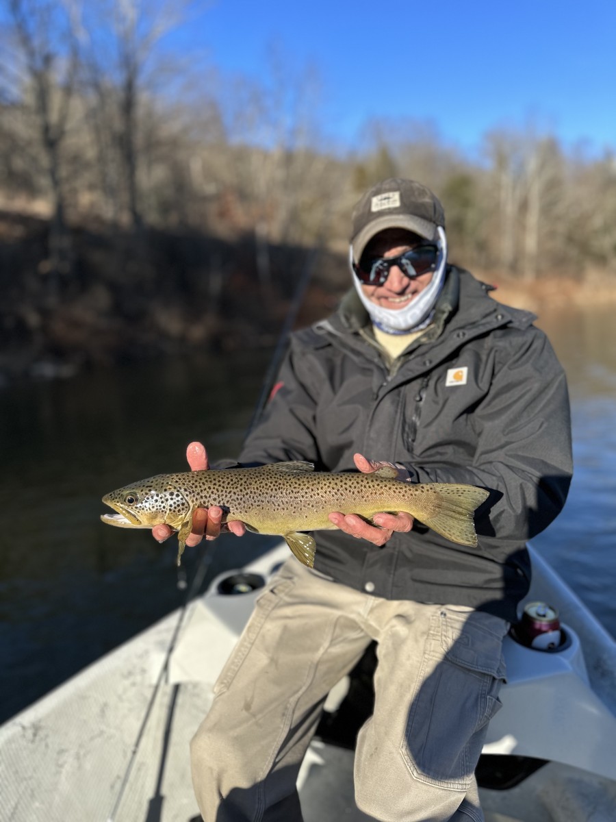 guided fly fishing upper delaware river brown trout