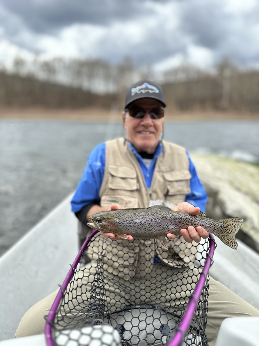 delaware river trout west branch delaware river fly fishing