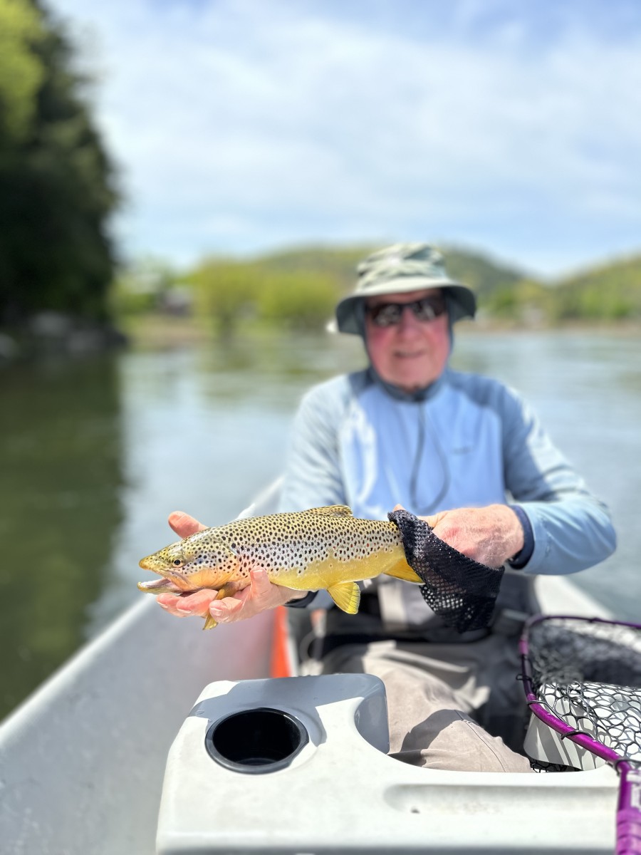 upper delaware river fly fishing delaware river wild trout