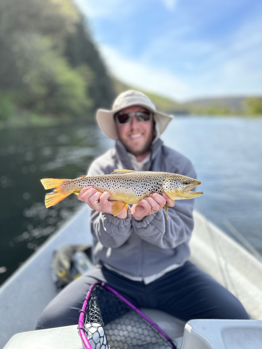 west branch delaware river wild trout upper delaware river trout guide jesse filingo