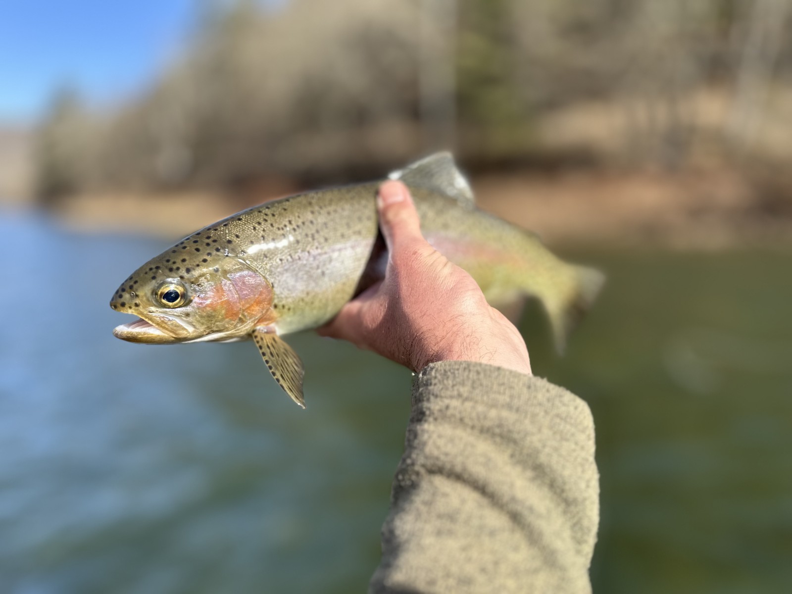 upper delaware river fly fishing guide west branch delaware river fishing