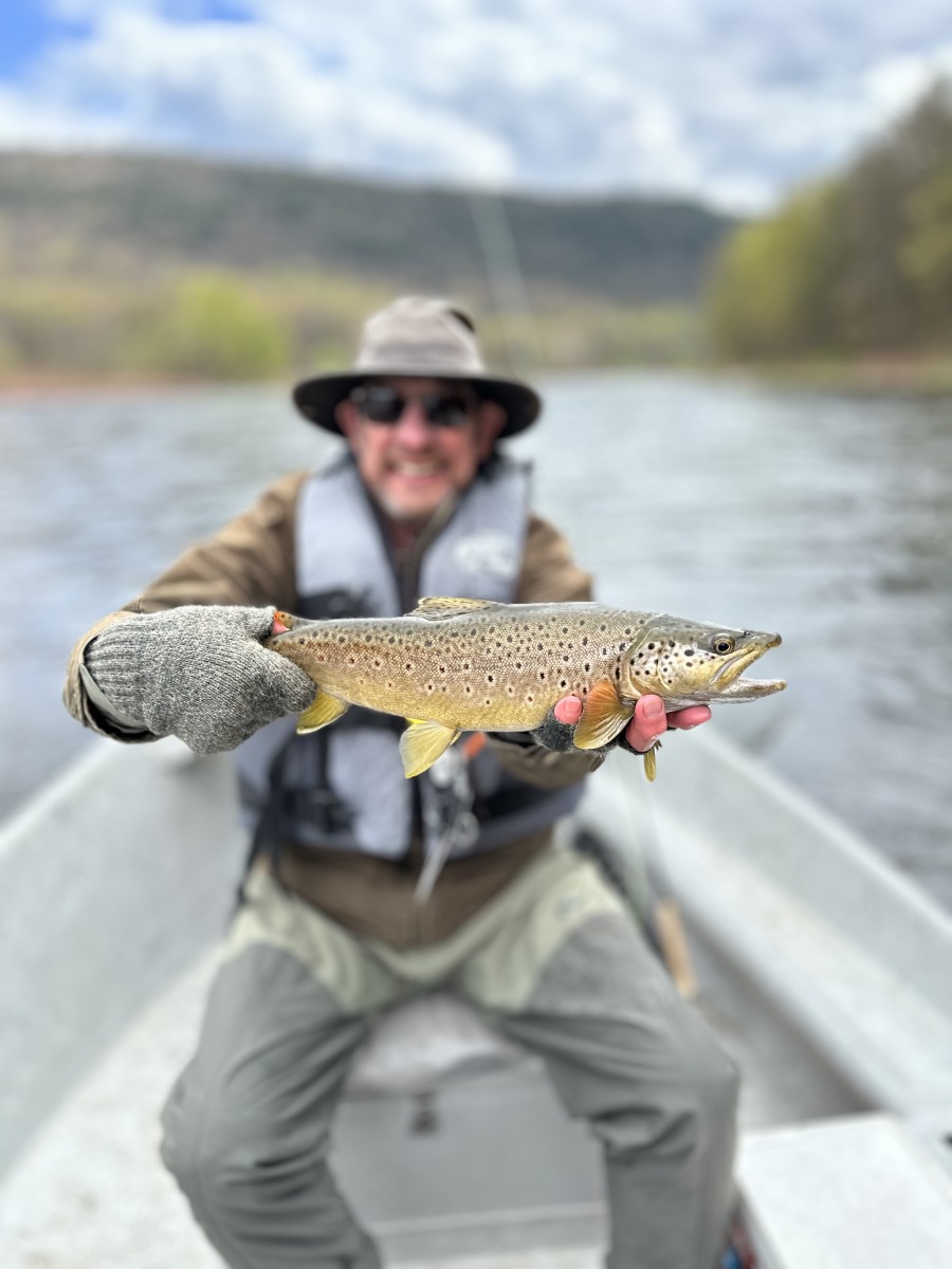 upper delaware river fly fishing trout fishing delaware river