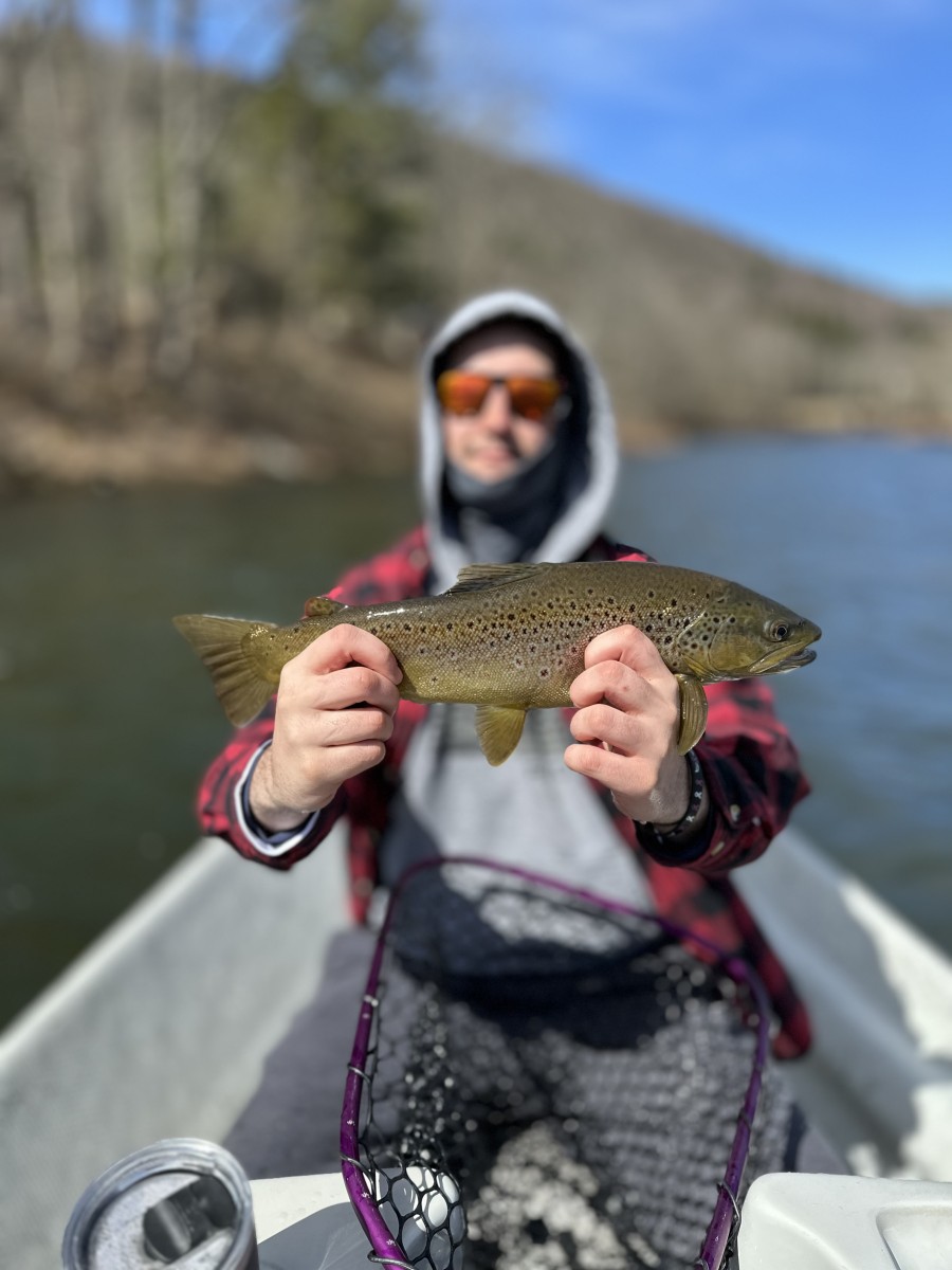 west branch delaware river trout upper Delaware river fly fishing guide jesse filingo