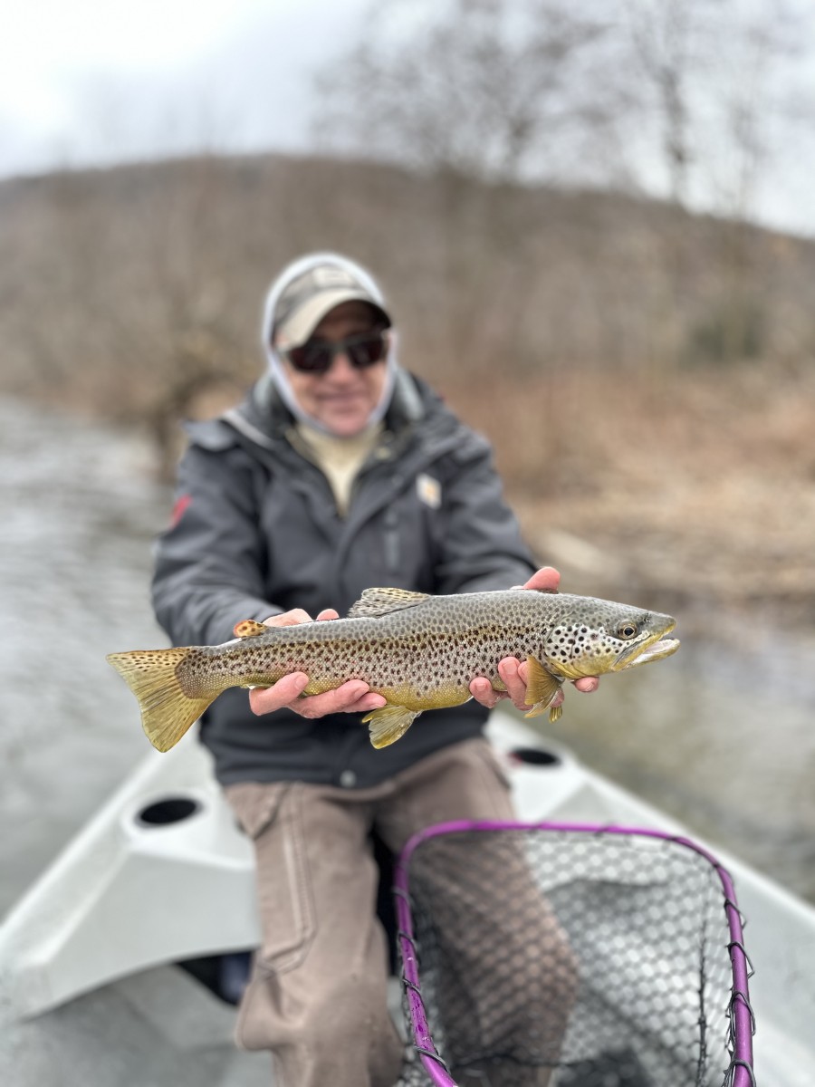 west branch delaware river fly fishing delaware river trout