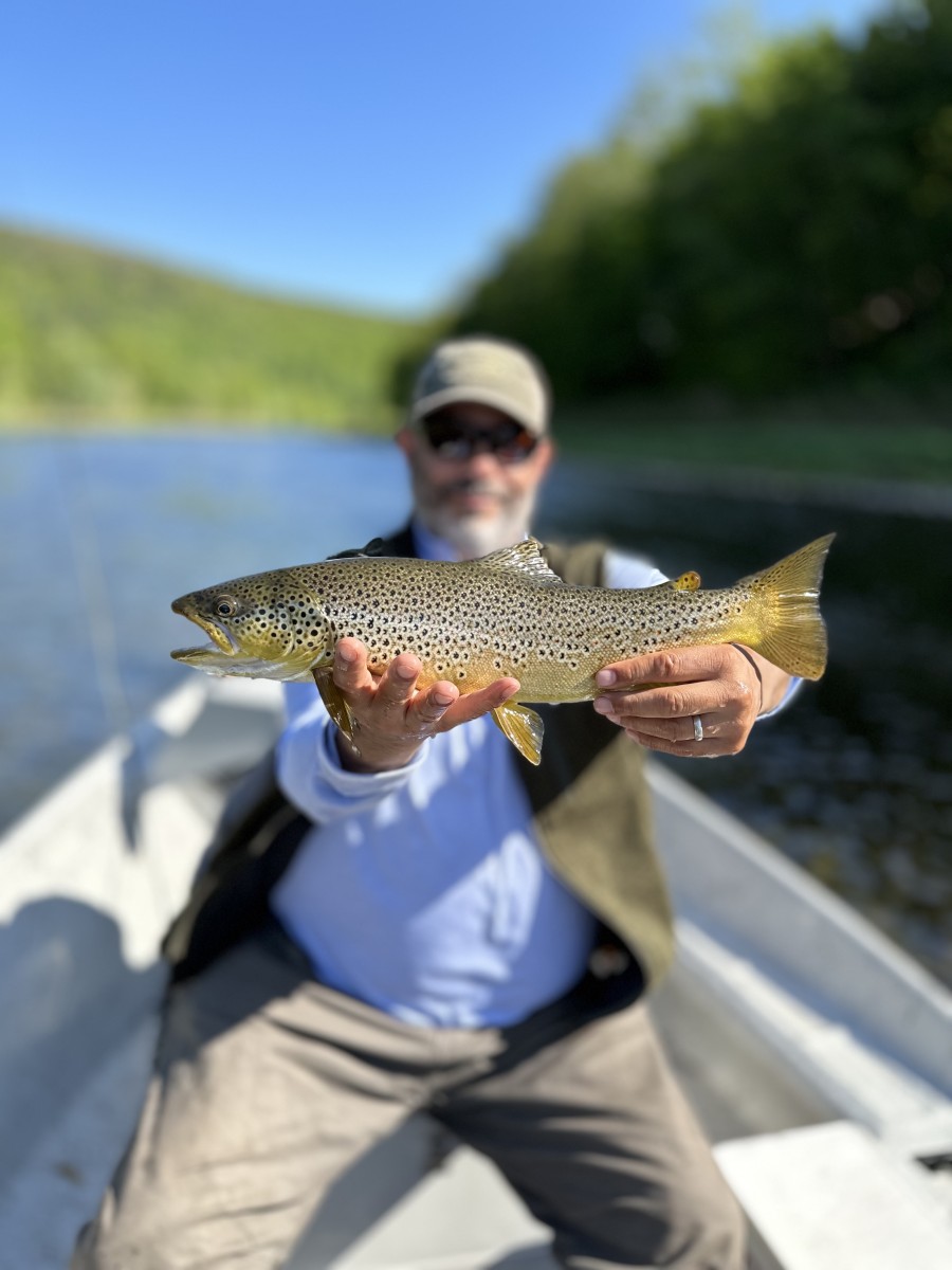 upper delaware river fly fishing wild trout guide jesse filingo