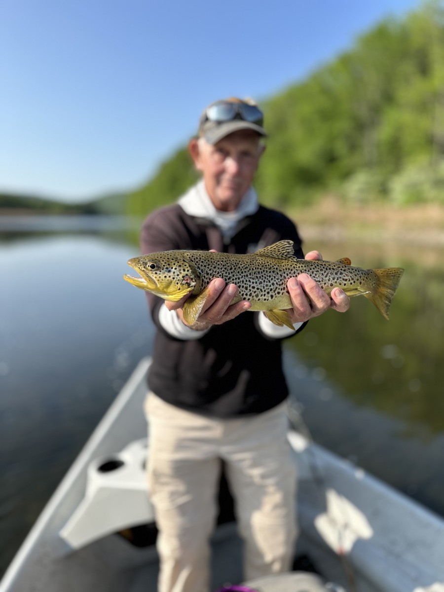 upper delaware river new york fly fishing delaware river