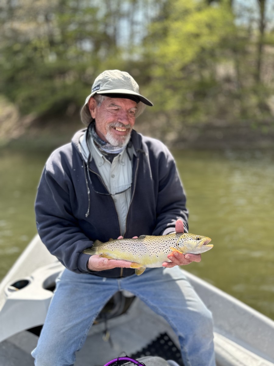 west branch delaware river fly fishing delaware river brown trout