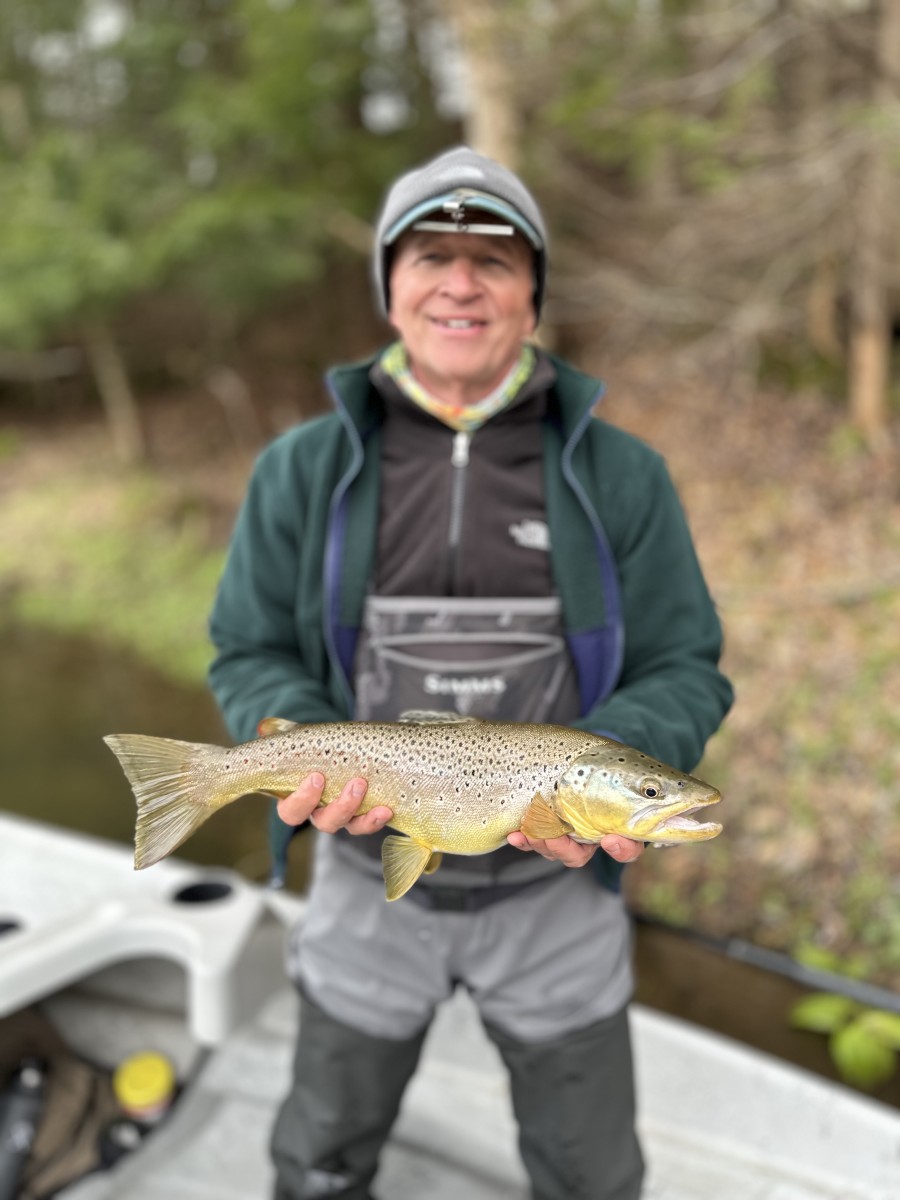 west branch delaware river brown trout upper delaware river new york fishing guide