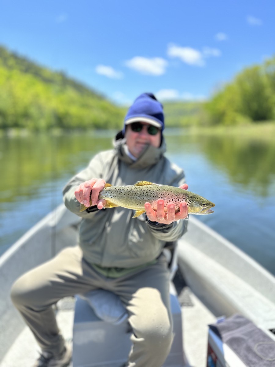 upper delaware river trout fly fishing delaware river