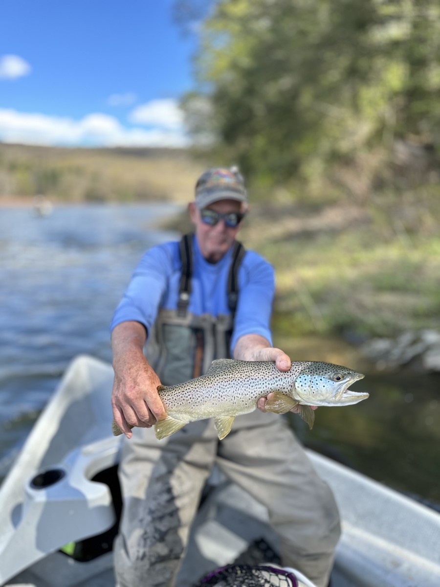 delaware river fly fishing upper delaware river trout