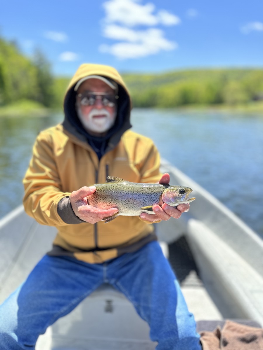 upper delaware river fly fishing