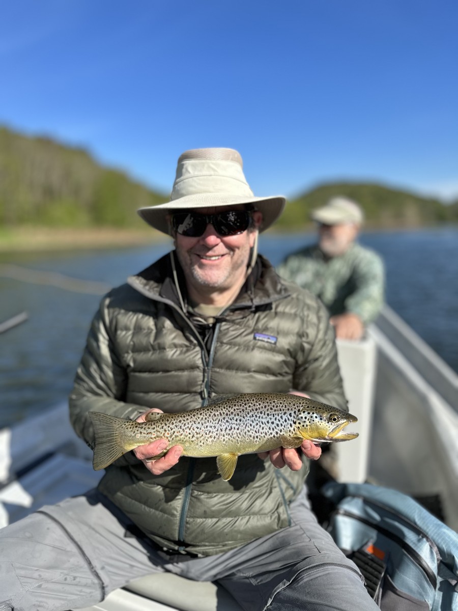 west branch delaware river trout