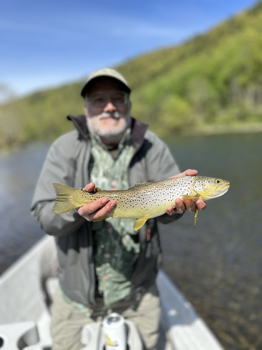 upper delaware river fly fishing wild trout