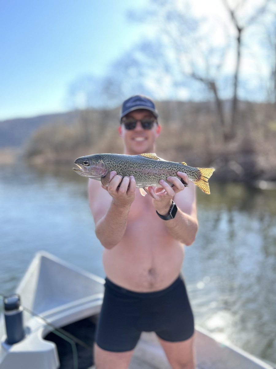 west branch delaware river fly fishing guide 