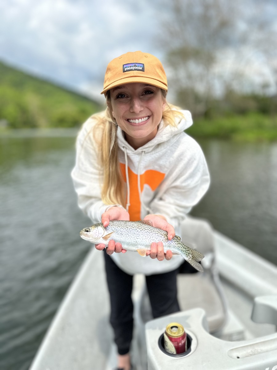 west branch delaware river new york wild trout 