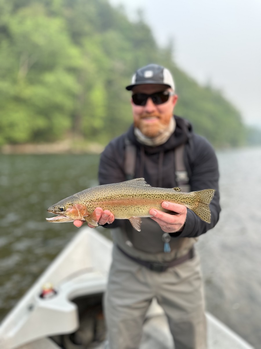 west branch delaware river fly fishing