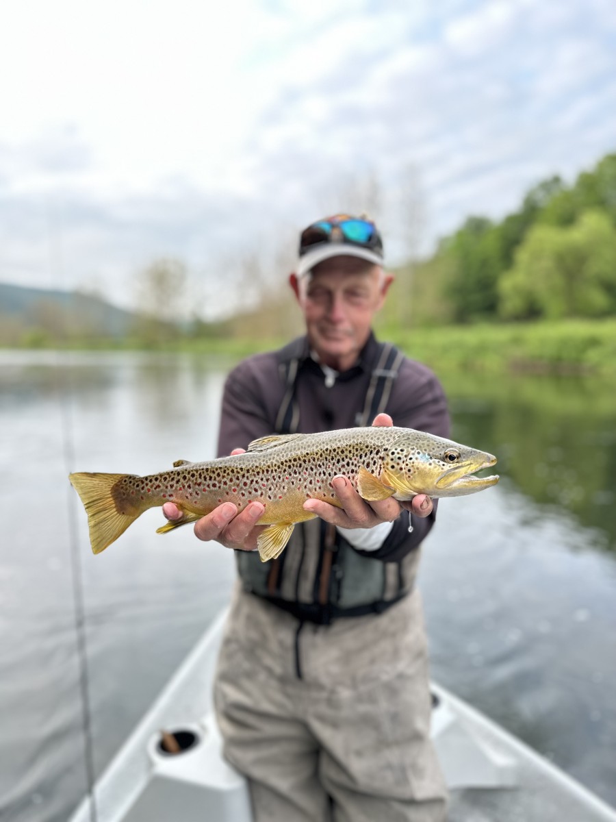 west branch delaware river fly fishing 