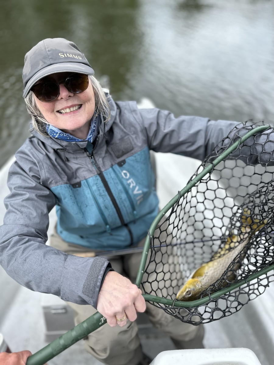 fly fishing west branch delaware river trout