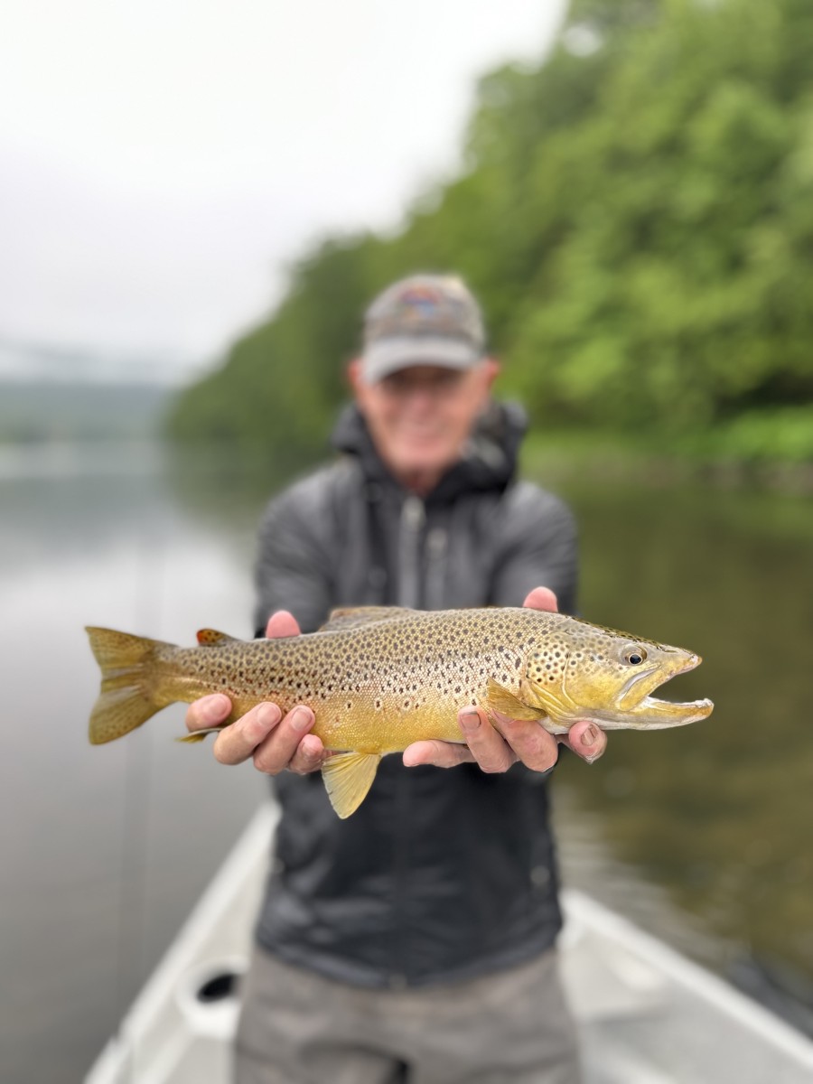 upper delaware river wild trout fly fishing guide jesse filingo