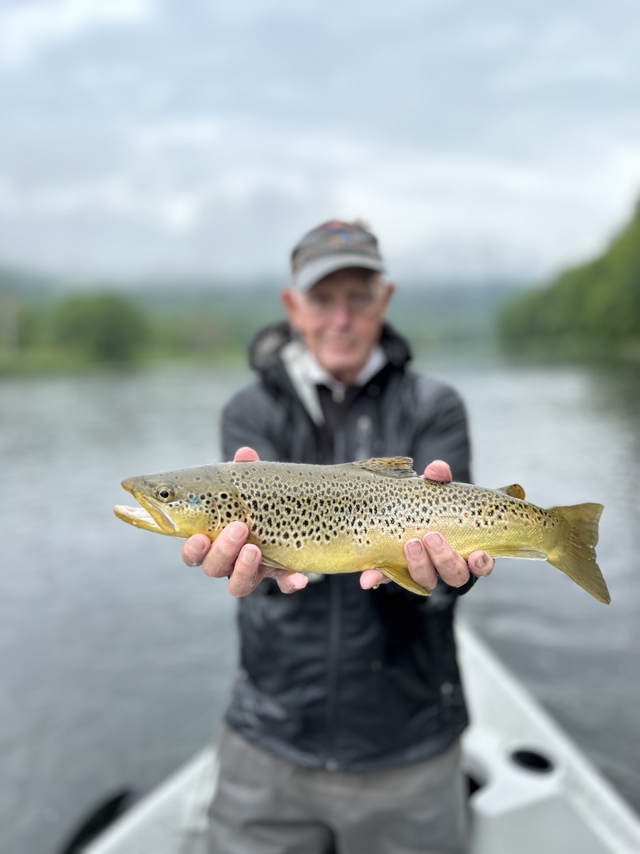 guided fly fishing upper delaware river new york 