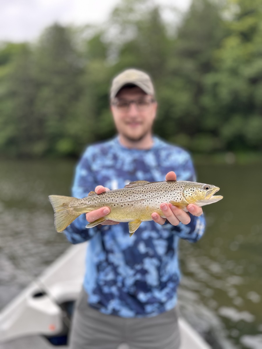 upper delaware river new york fly fishing guide jesse filingo delaware river trout