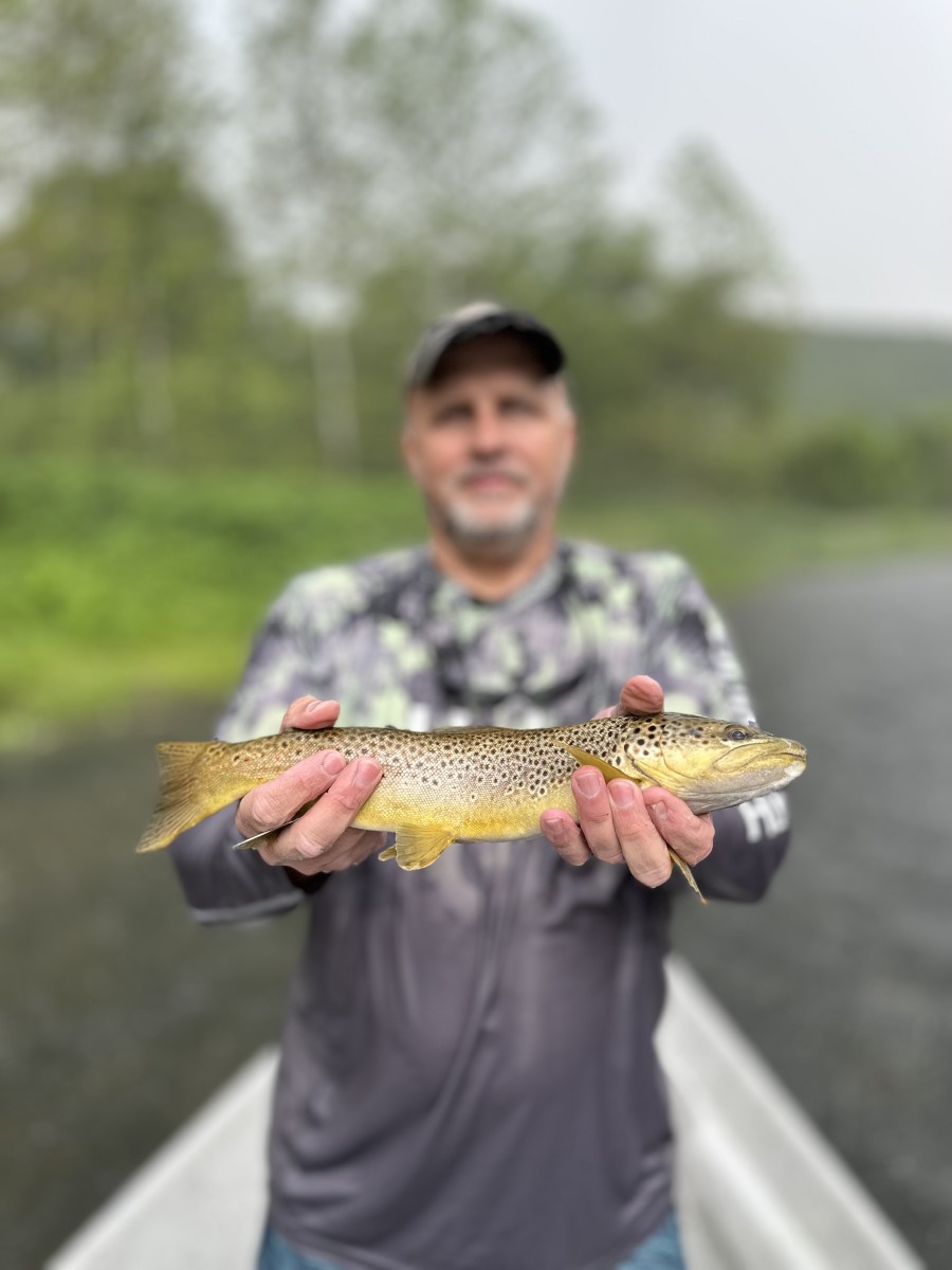 guided fly fishing upper delaware river trout