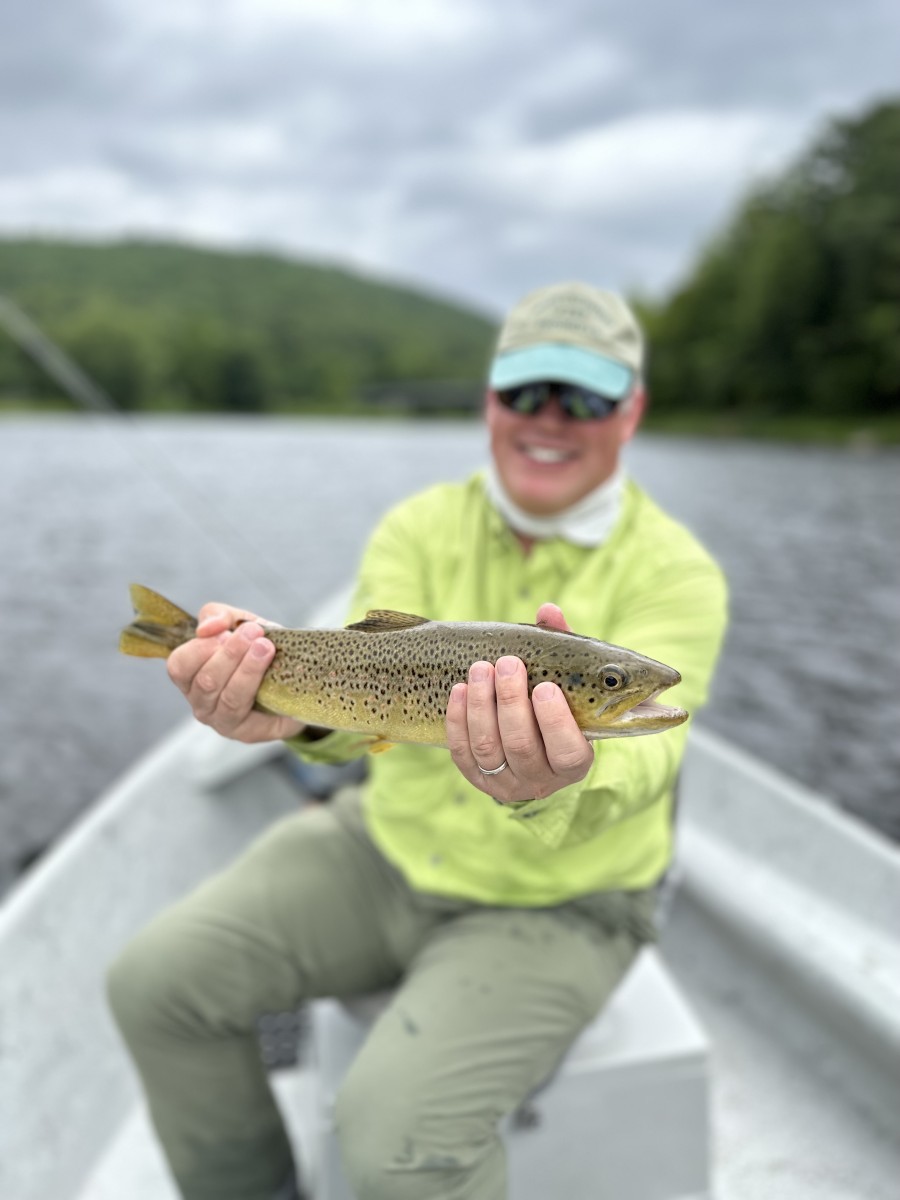 upper delaware river brown trout new york fly fishing guide jesse filingo