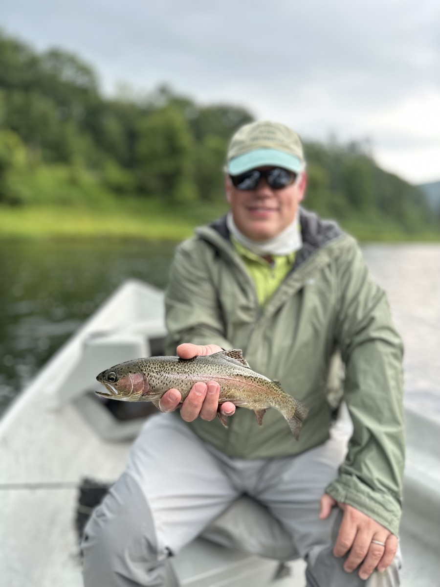 delaware river rainbow trout